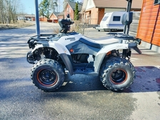 Linhai 300 4x4