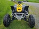 Can-Am DS