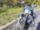 Honda Shadow