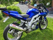 Suzuki SV