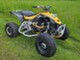 Can-Am DS