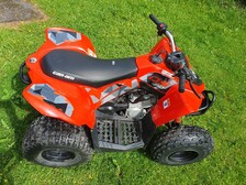 Can-Am DS