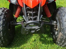 Can-Am DS