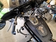 Honda Shadow