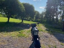 Aprilia SX