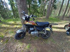 Suzuki PV