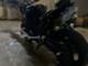 Yamaha FZR