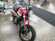 Honda Monkey