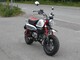 Honda Monkey