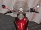 Triumph America
