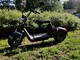 Scogo -