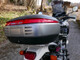 Honda XRV