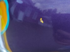 Suzuki GSX-R