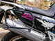 Honda XRV