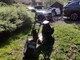 Scogo -