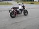 Honda Monkey