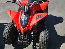 Can-Am DS