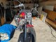Suzuki LS