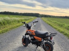 Suzuki PV