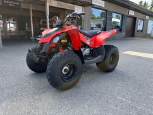 Can-Am DS