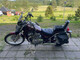 Suzuki Intruder