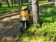 Yamaha Jog