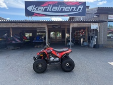 Can-Am DS