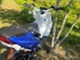 Yamaha Aerox