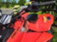 Can-Am DS