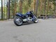 Harley-Davidson VRSC