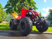 Can-Am DS
