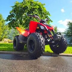 Can-Am DS