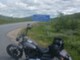 Harley-Davidson Softail