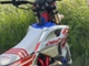 Beta RR