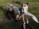 Beta RR