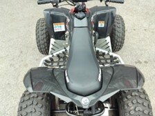 Can-Am DS