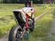 Beta RR