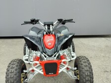 Can-Am DS