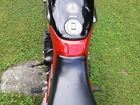 Yamaha FZX