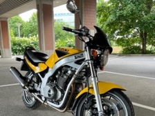 Suzuki GS