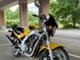 Suzuki GS