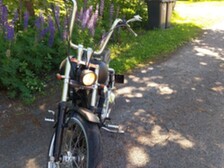 Harley-Davidson Dyna