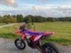 Beta RR