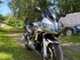 Suzuki SV