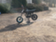 Pitpro Standard