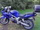 Suzuki SV