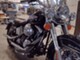 Harley-Davidson Softail