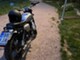 Mash Two Fifty 250