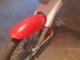 Solifer Export