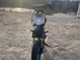 Pitpro Standard